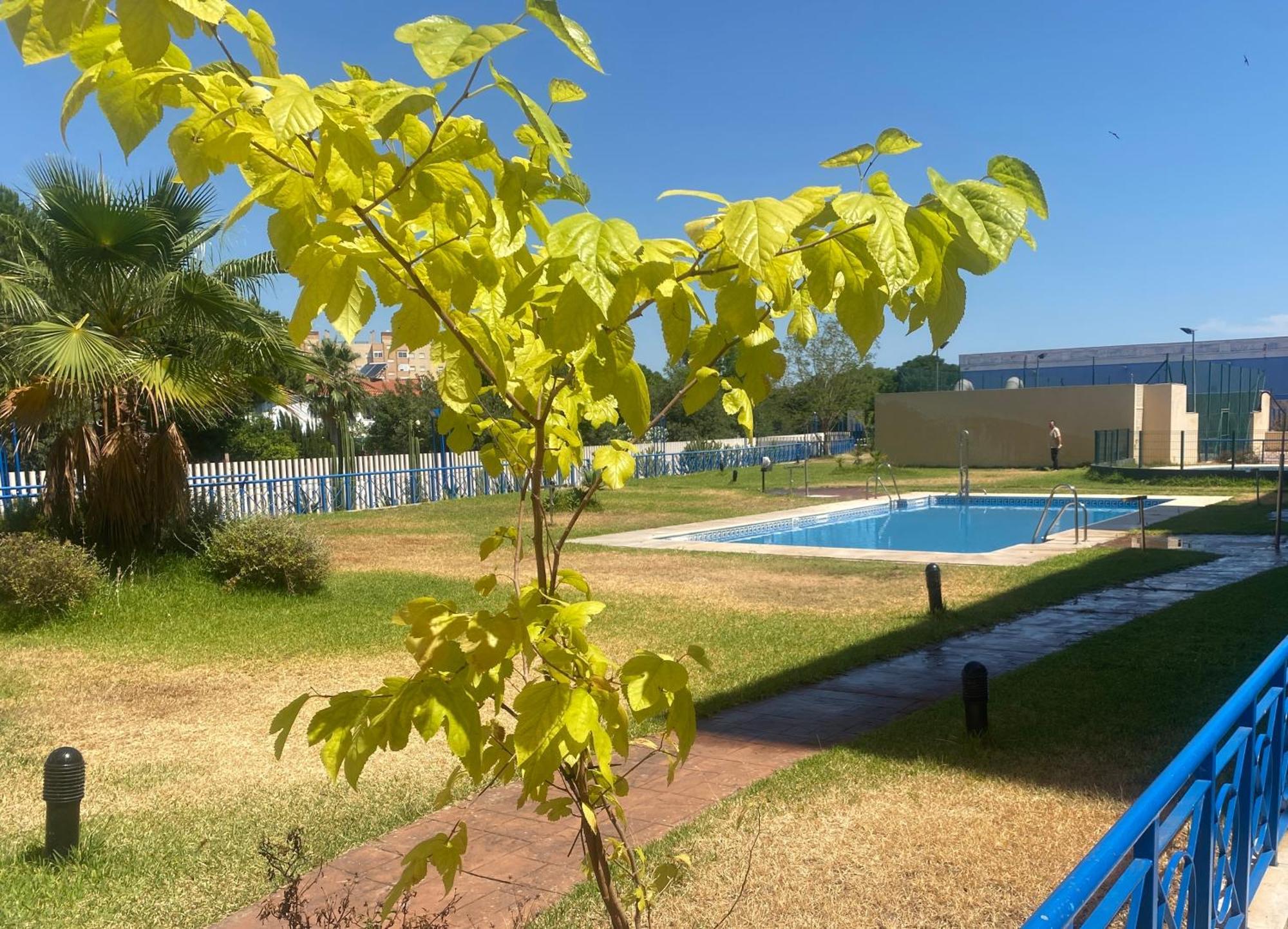 Fibes Apartamento Con Piscina Y Parking Gratis Sevilha Exterior foto